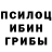 Псилоцибиновые грибы Psilocybe Steffaniya
