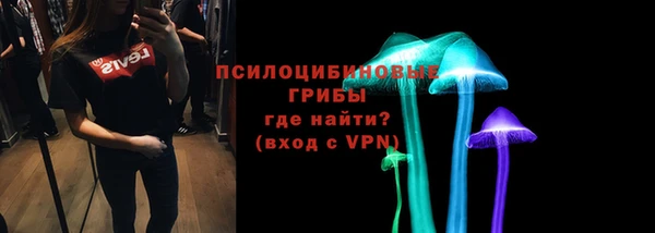 сатива Абдулино