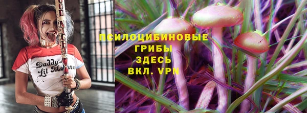 PSILOCYBIN Абинск