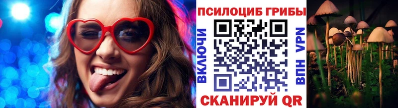 Псилоцибиновые грибы Cubensis  Воронеж 