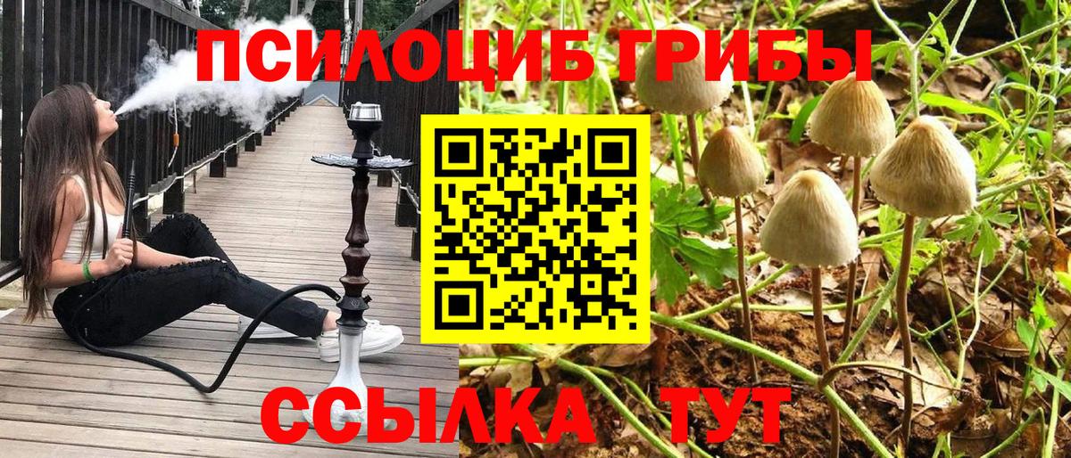Псилоцибиновые грибы Magic Shrooms  Вход с VPN  Галлюциногенные грибы MAGIC MUSHROOMS  Воронеж 